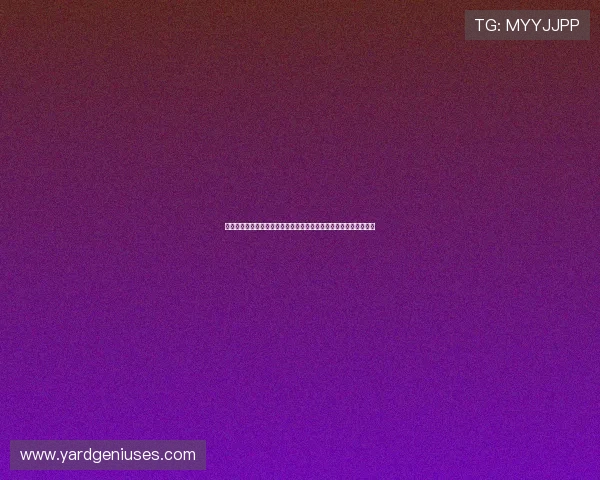 世界杯荷兰瑞典大名单公布：详细分析两队核心球员阵容与战术布局