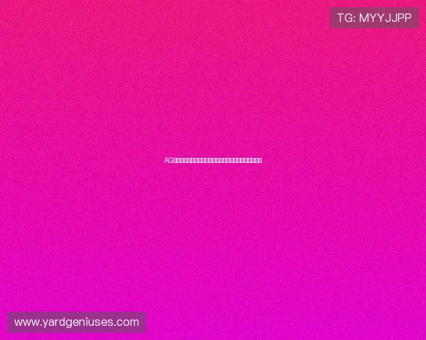 AG贵宾会网站安全可靠保障用户资金与信息安全的详细措施