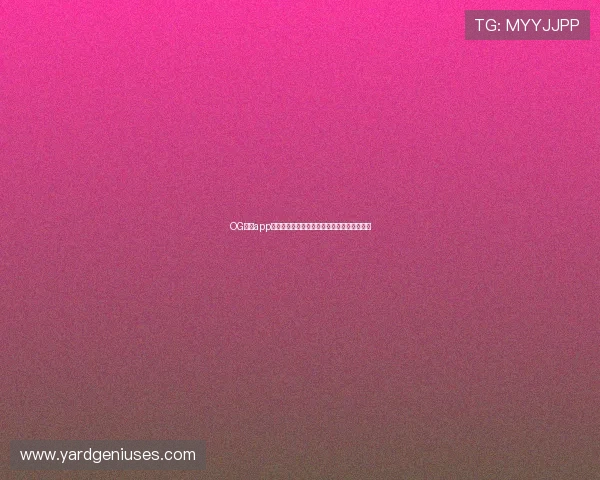 OG真人app最新版本下载，安全稳定的真人娱乐体验推荐